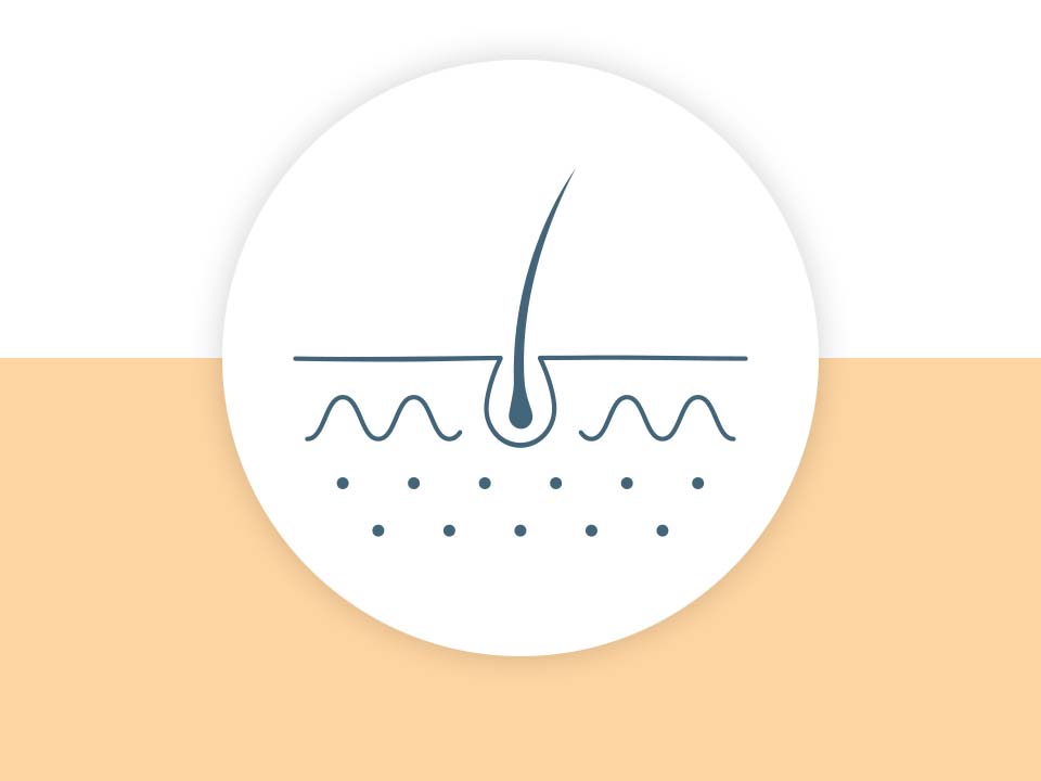 Icon für Haut & Haar